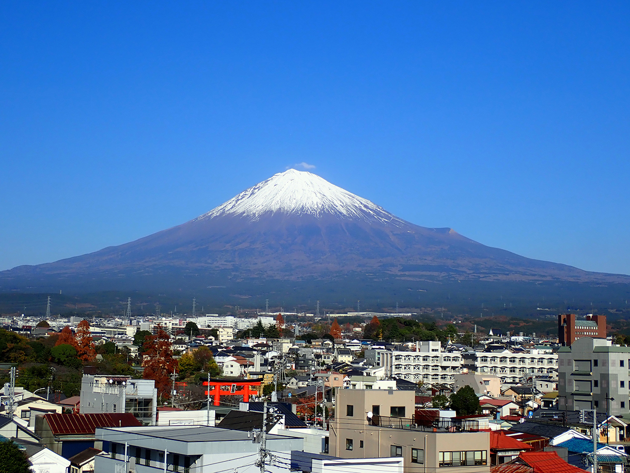 「山の聖地」紙面