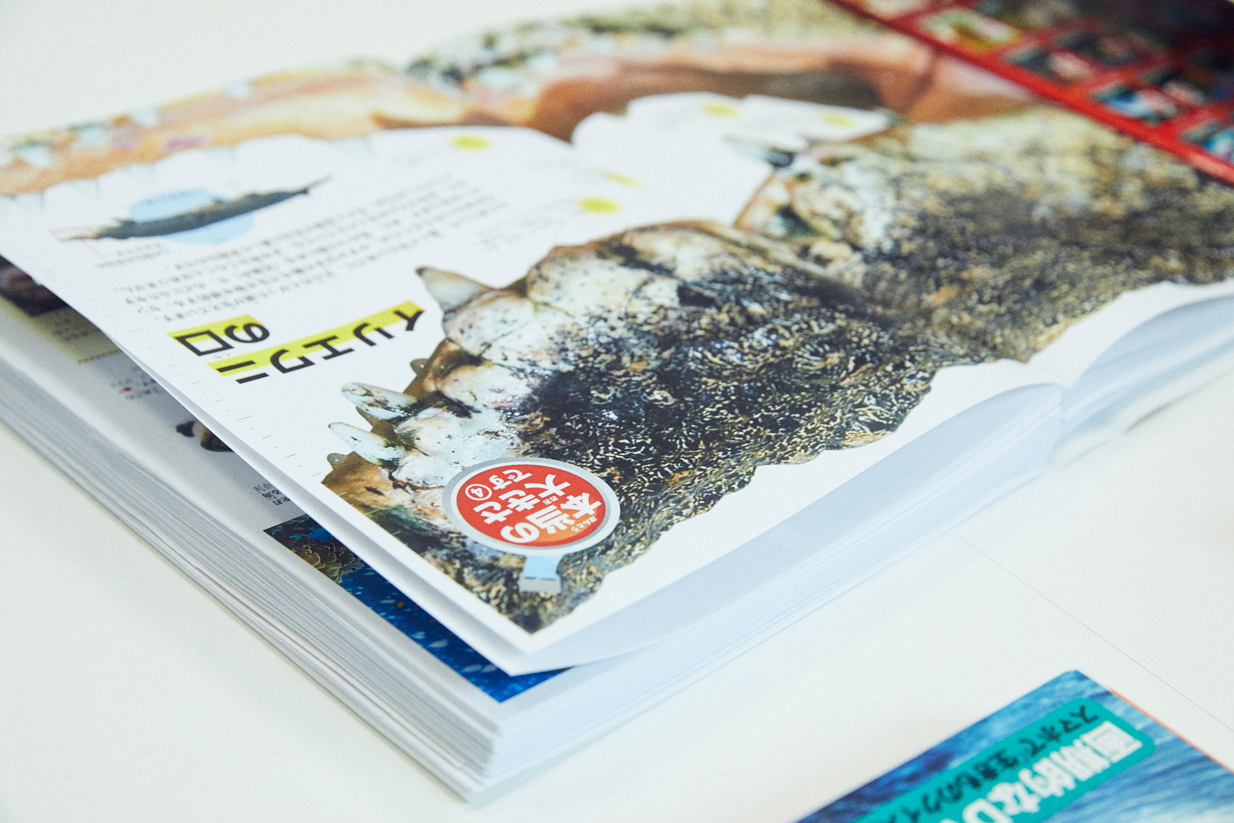 「本当の大きさです」コーナー誌面