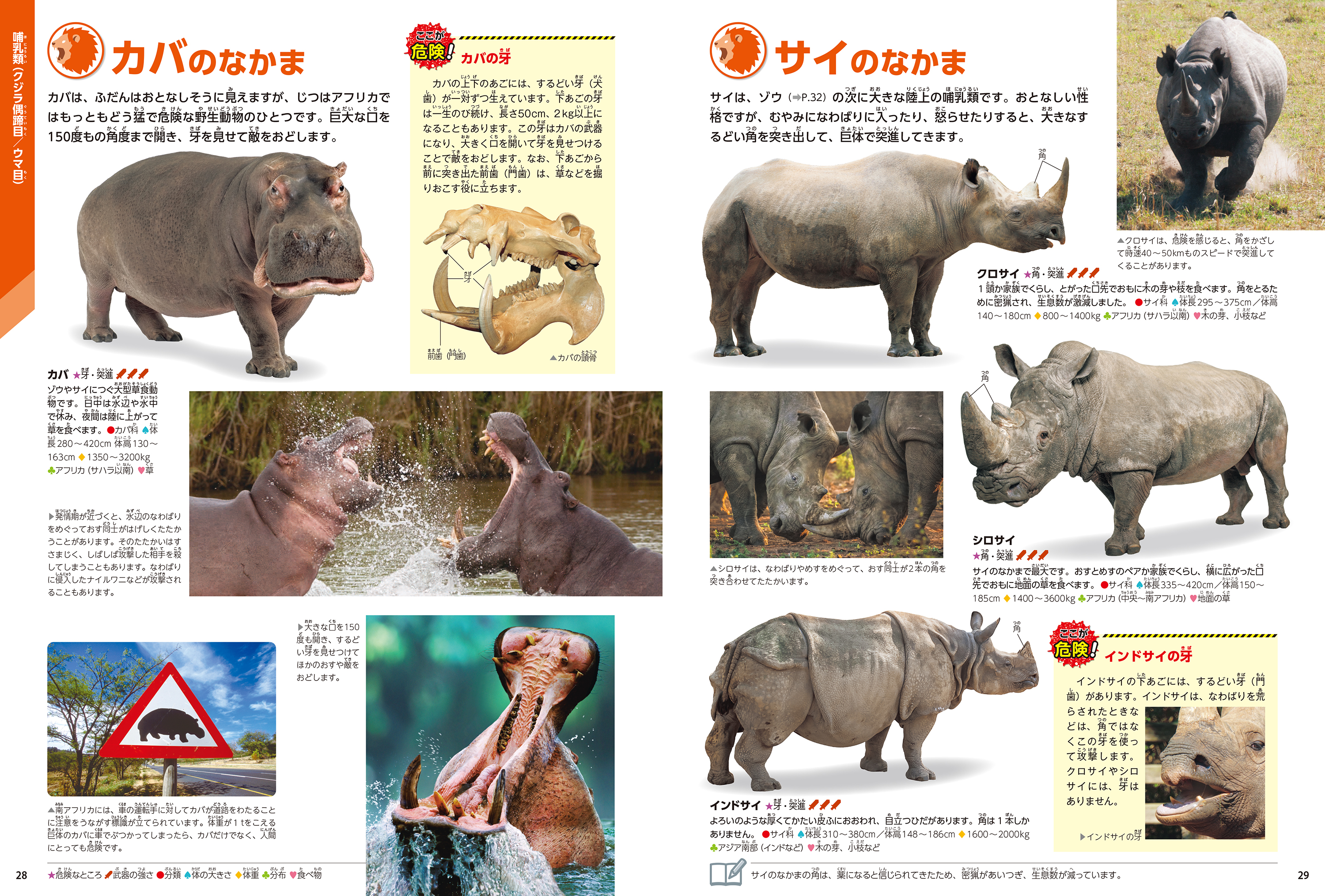 「生き物としての特徴もよくわかる充実した標本ページ」紙面