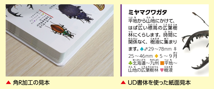 「軽くて安心のつくり」画像