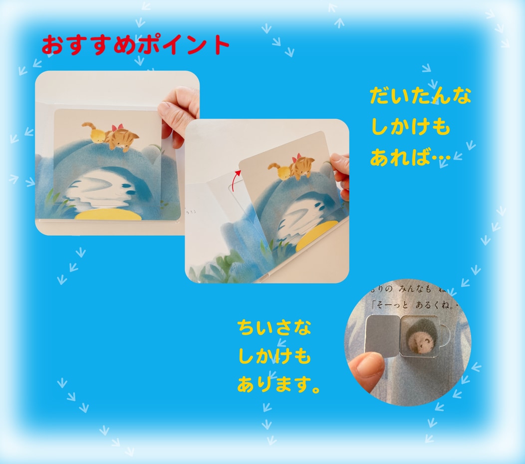 「しかけがたくさん」画像